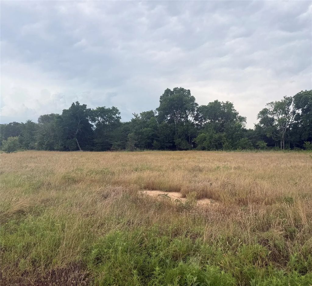 Tbd Pecan Oak Trl, Wills Point