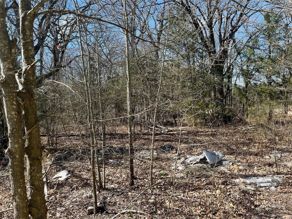 County Road 3605, Quinlan