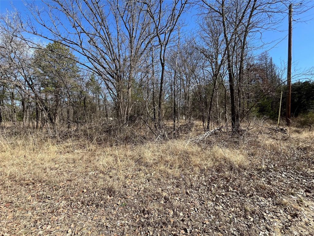 County Road 3605, Quinlan