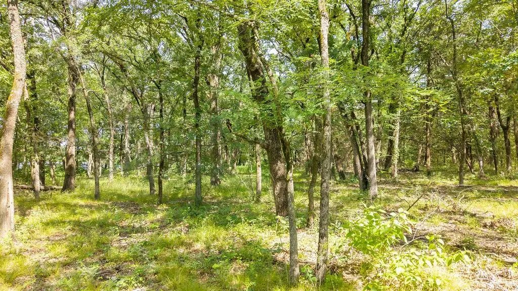 Pr 206, Bonham