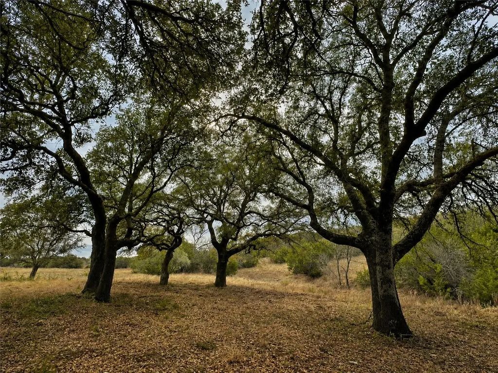 1146 Hidden Cove Trail, Glen Rose