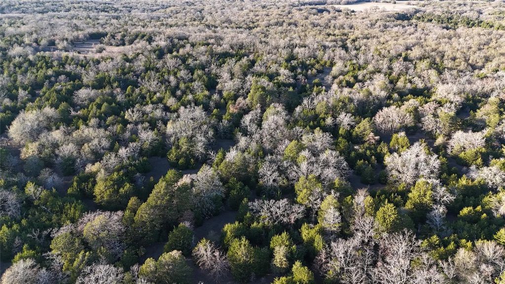 Tbd County Road 890, Mexia