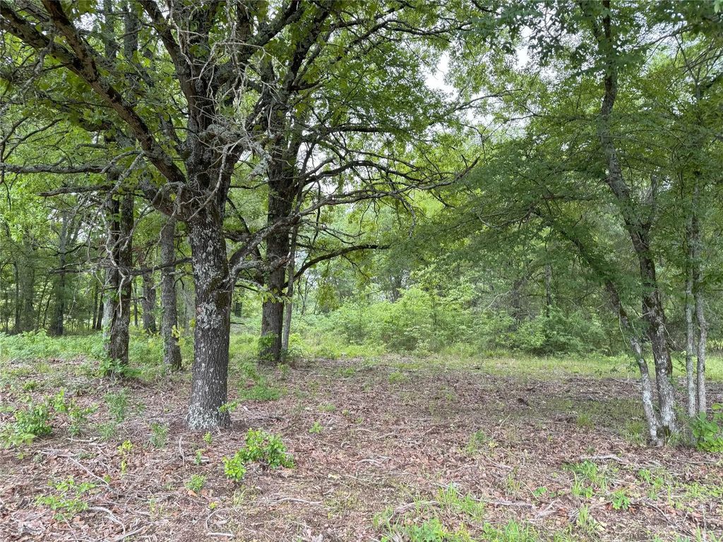 Lot 25 Rains County Road 2610, Alba