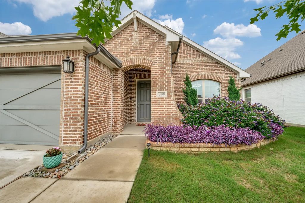 308 Moonvine Drive, Little Elm