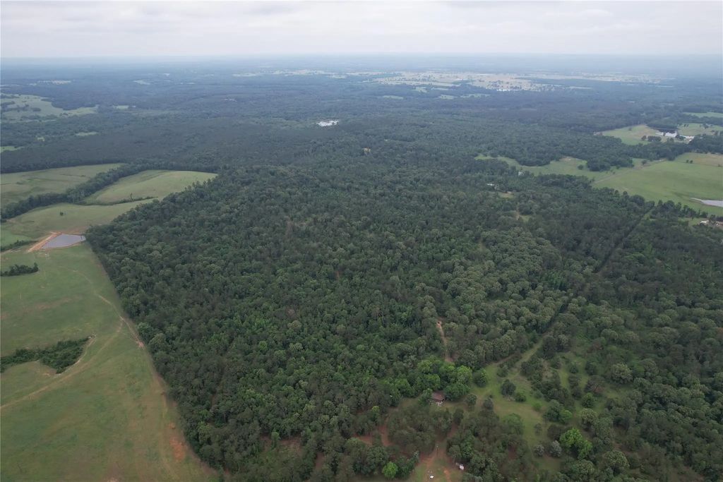 Tbd County Road 461, Laneville