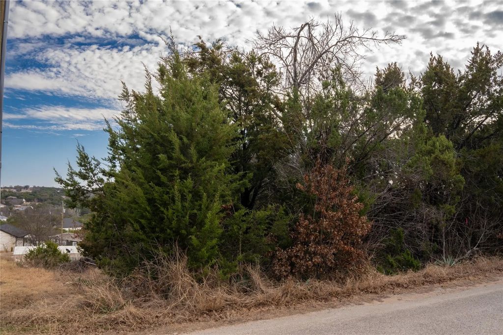 917 Bobcat Trail, Granbury