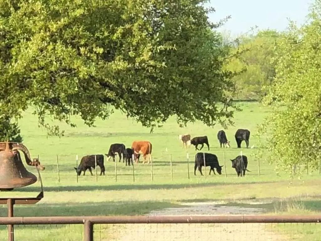 660 Fm 203, Walnut Springs