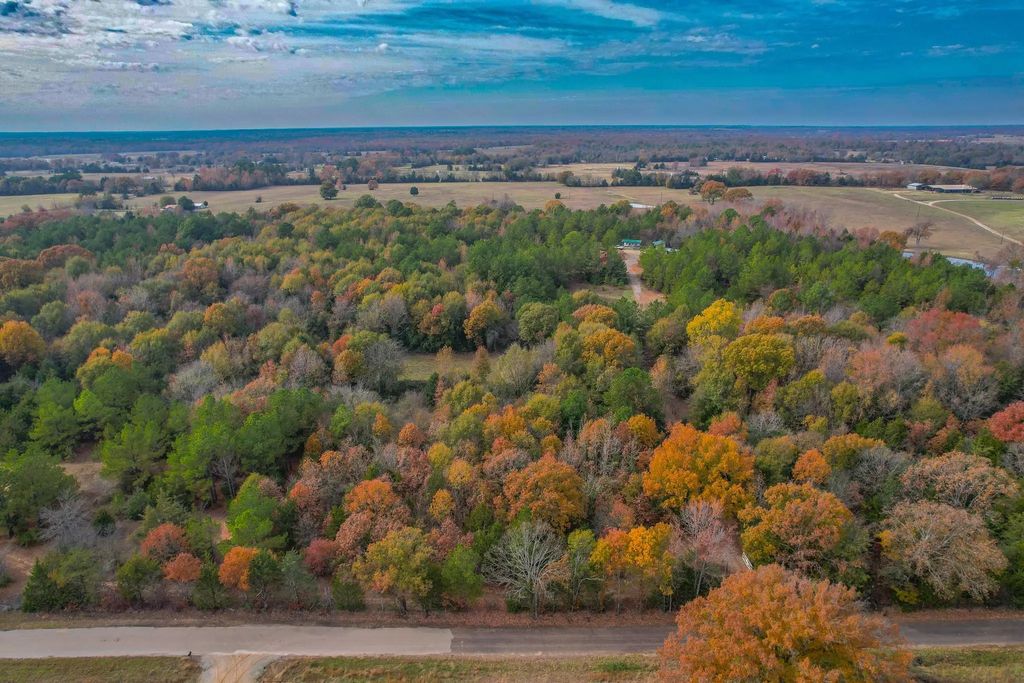 Cr 4960, Quitman