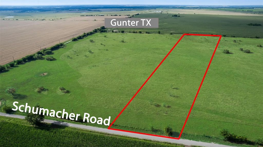 795 Schumacher 2a, Gunter