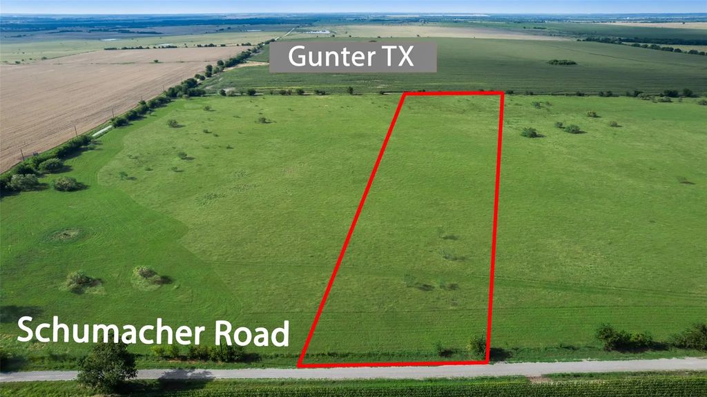 795 Schumacher 2a, Gunter