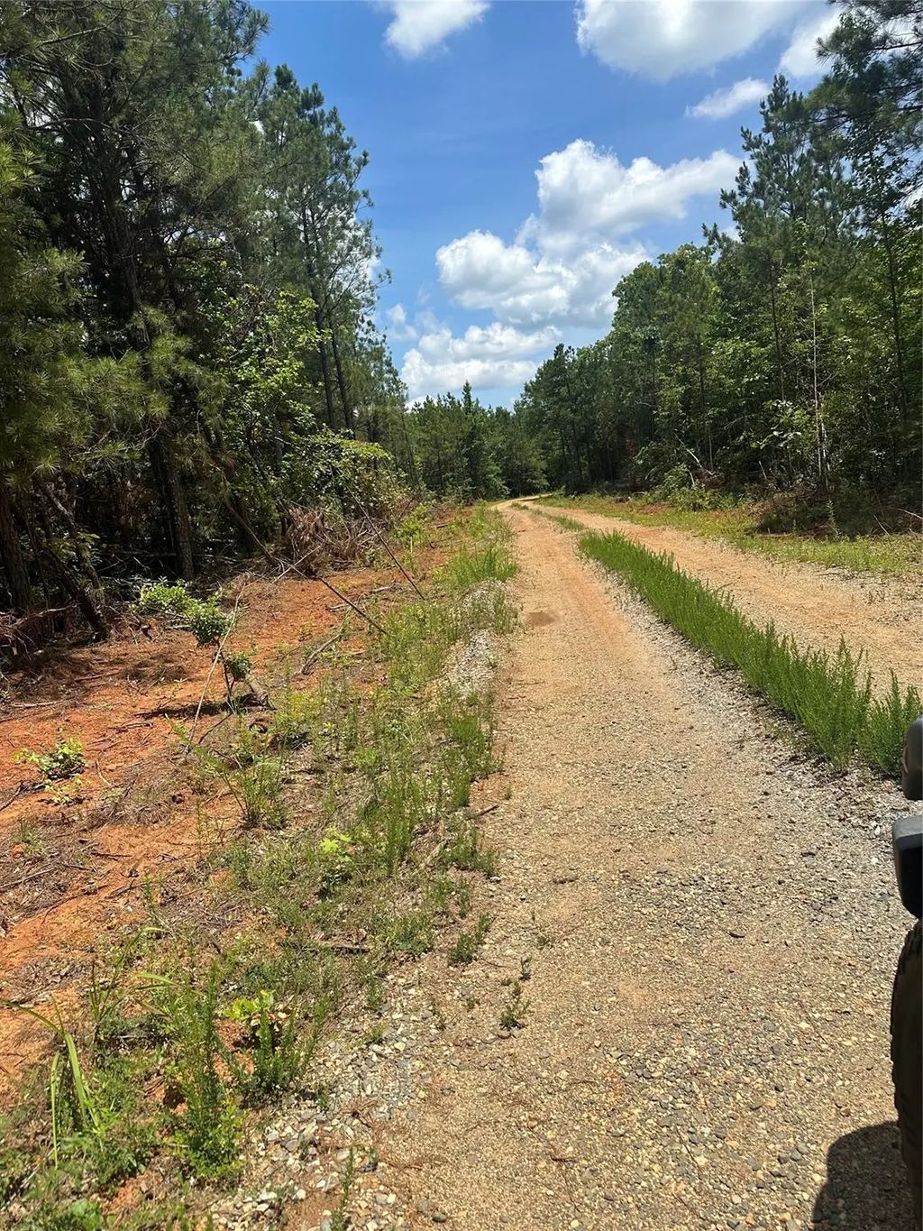 Maxey, Haynesville