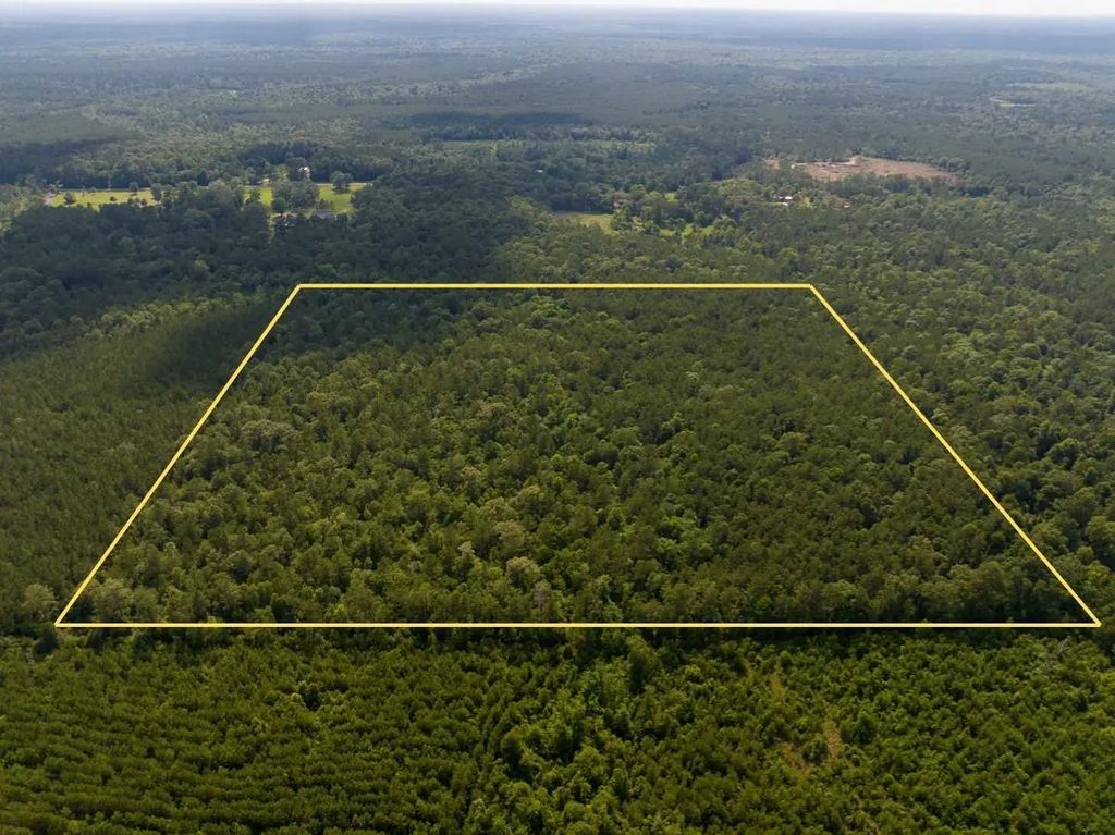 Off Webb Spikes Road, DeRidder