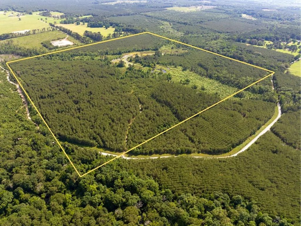 Ferguson Road, Coushatta
