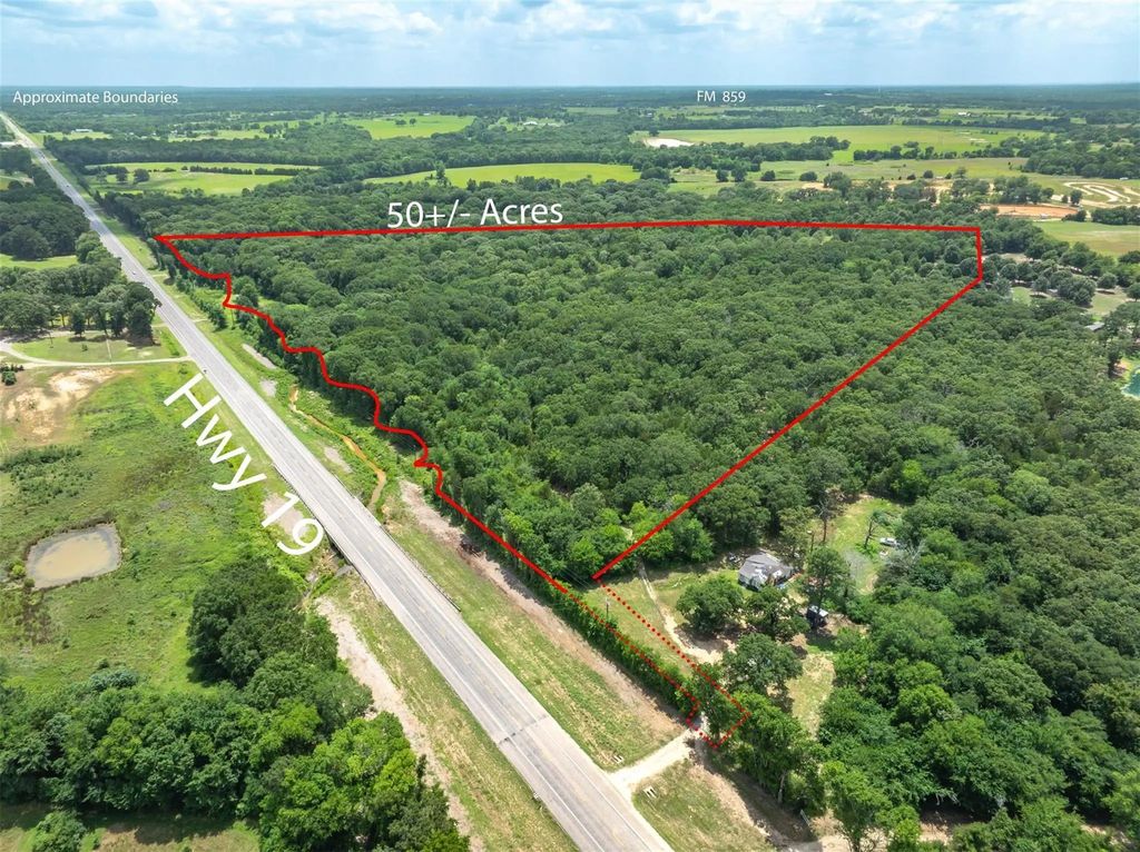 Tbd Tx-19, Edgewood
