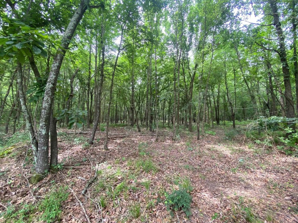 150 Cr 3920, Mount Pleasant
