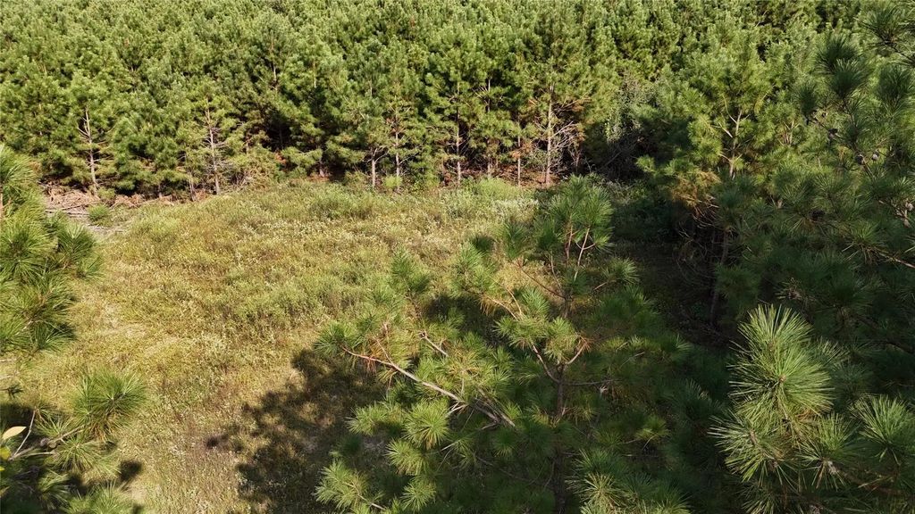 Tbd County Road 3121, Long Branch