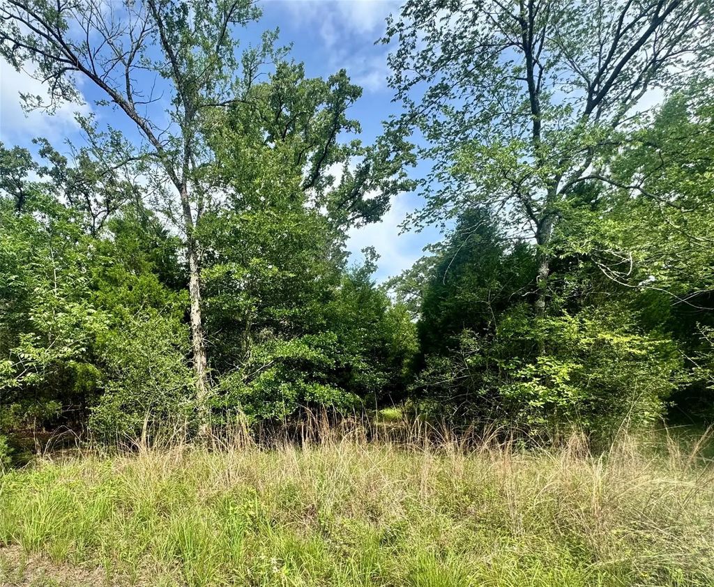 Lot 2111 Butch Cassidy Drive, Log Cabin