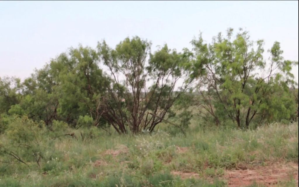 300 County Road 232, Rotan