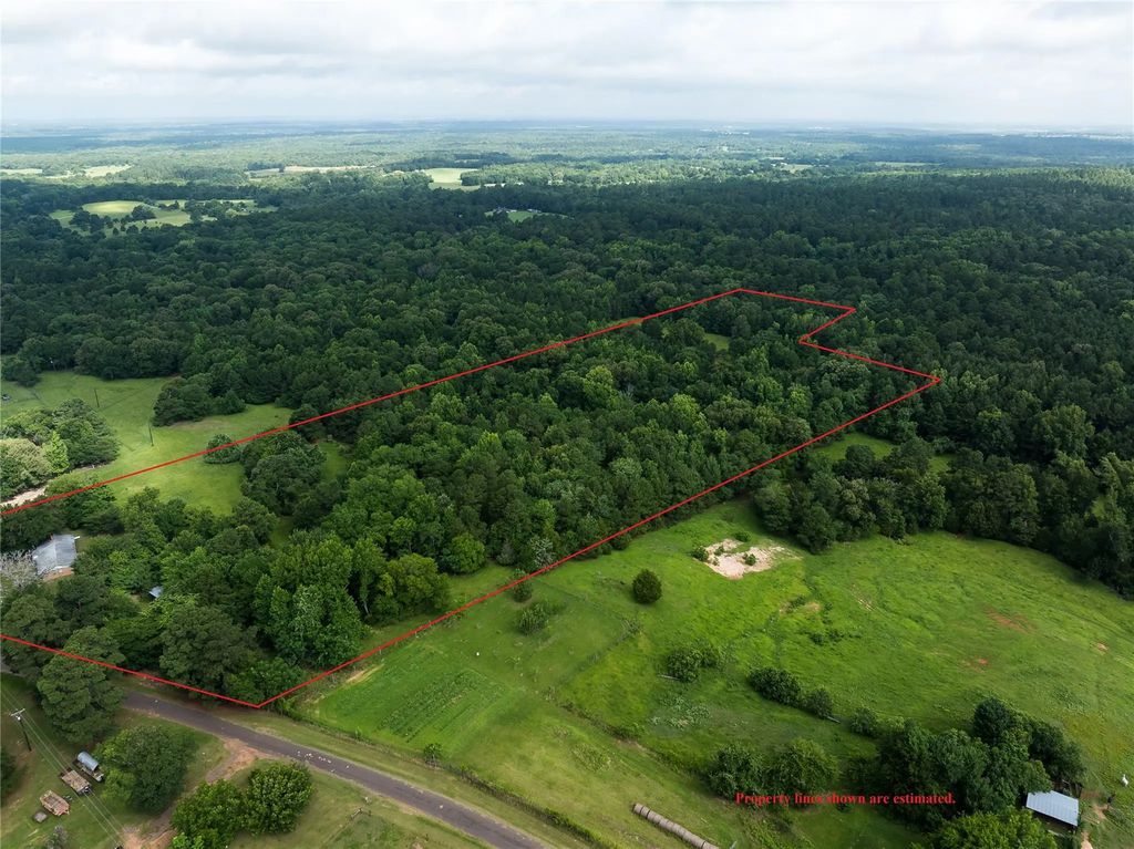 519 An County Road 450, Palestine