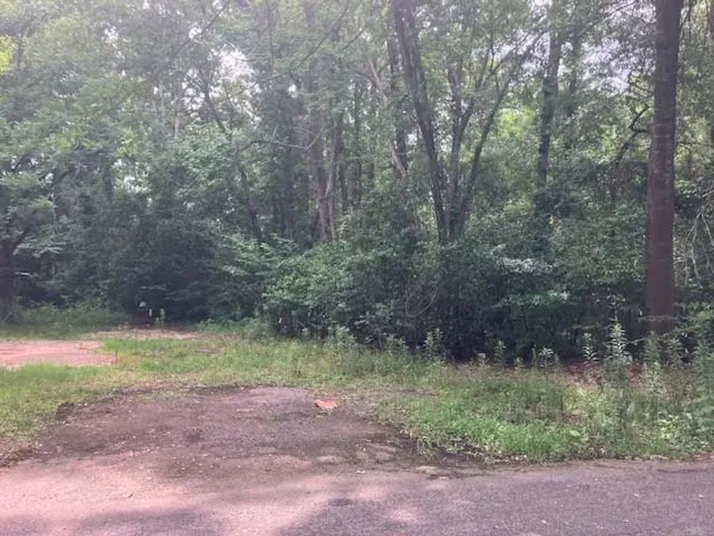 1315 N Fannin Avenue, Tyler