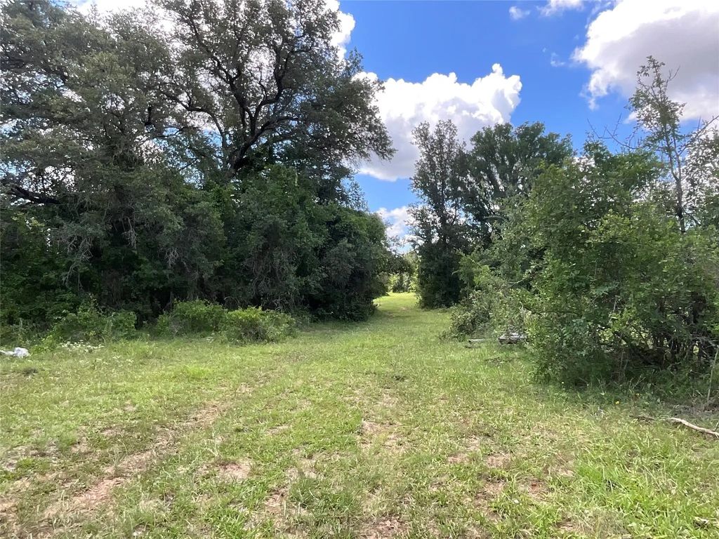 Tbd W Fm 2486, Gustine
