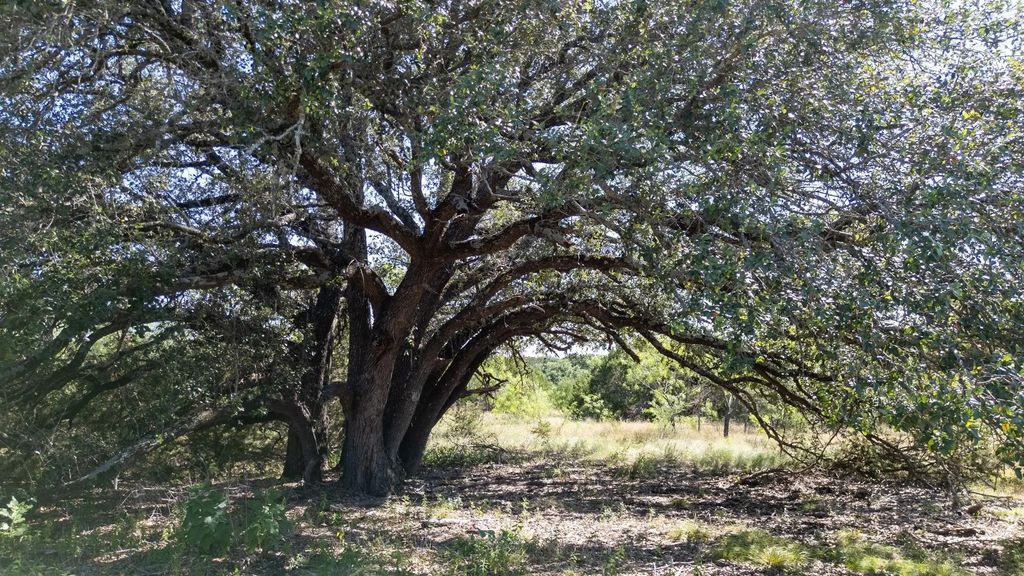 Lot 2 Ph 3 Pr 4218, Evant