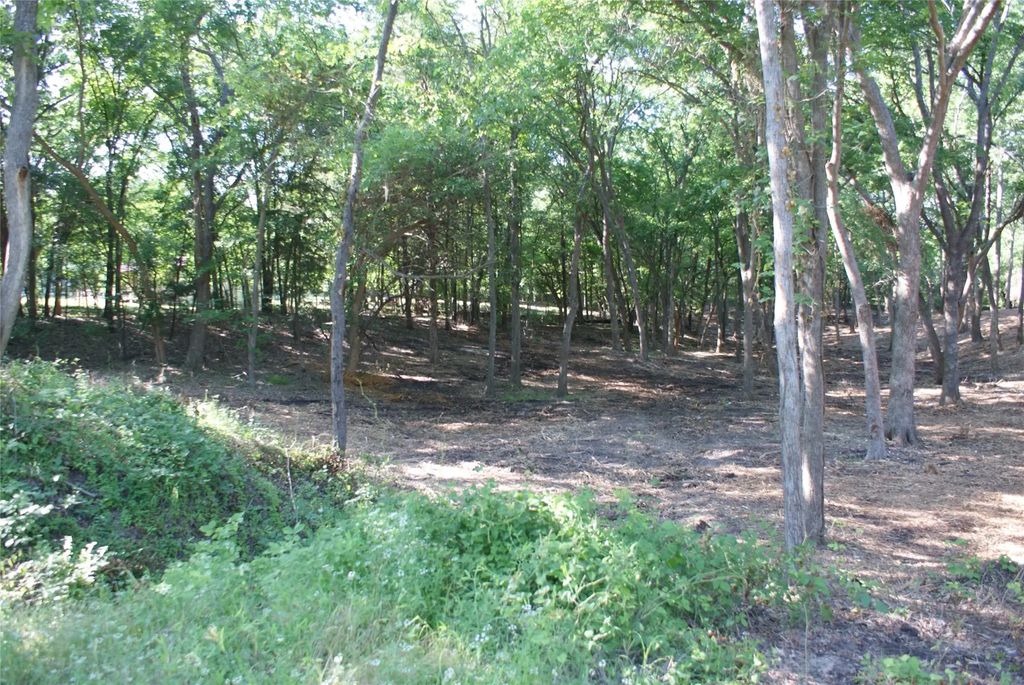 Cr 3713 County Road 3713, Quinlan