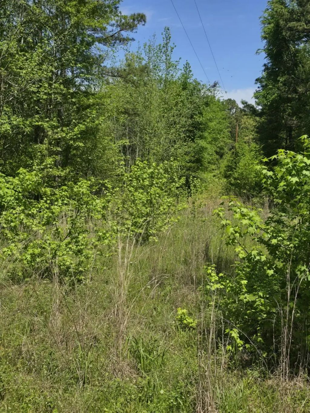 Tbd County Road 421, Tyler