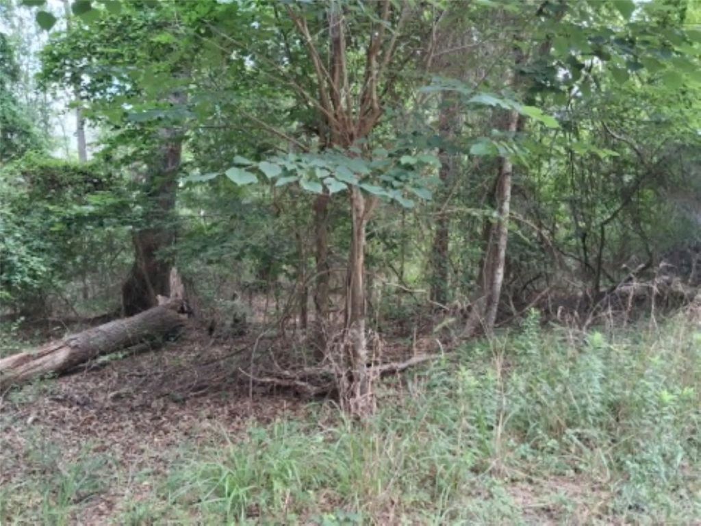 Tbd Dogwood Drive, Murchison