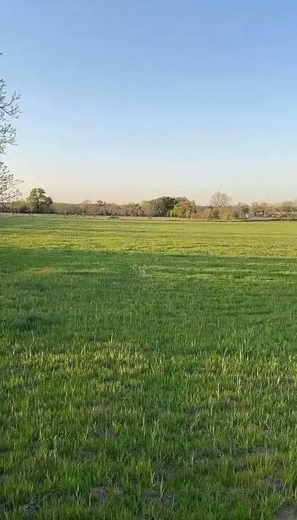 Lot 1 County Road 3424, Bridgeport