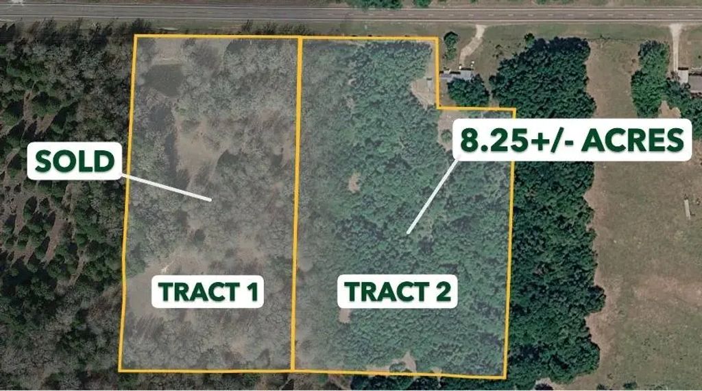 Tract 2 Tbd Fm 1365, Teague