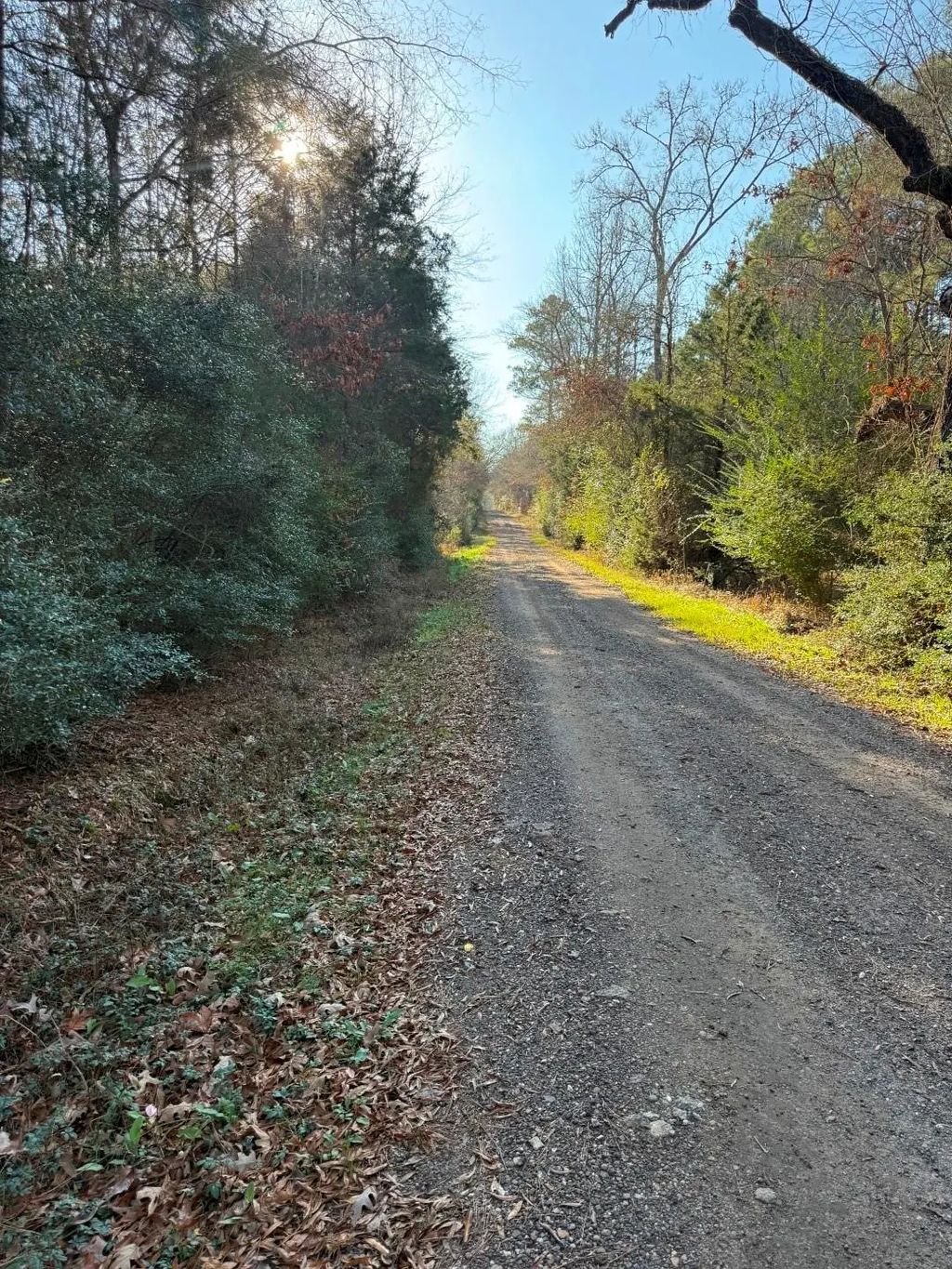 Tbd-d County Road 216, Beckville