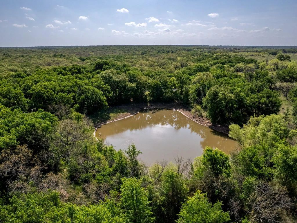3051 County Road 411 W, Brownwood