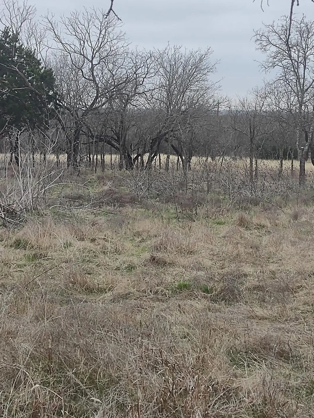 138 Pr 226 Road, Whitney