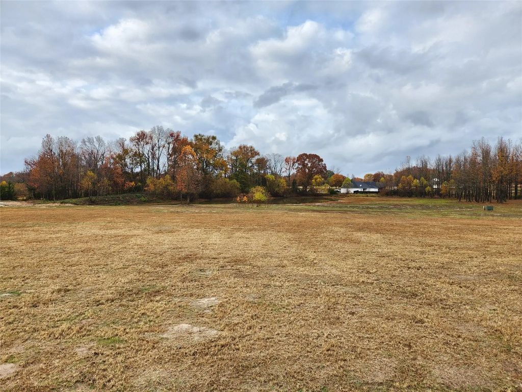 Lot 23 Cr 2230, Mineola