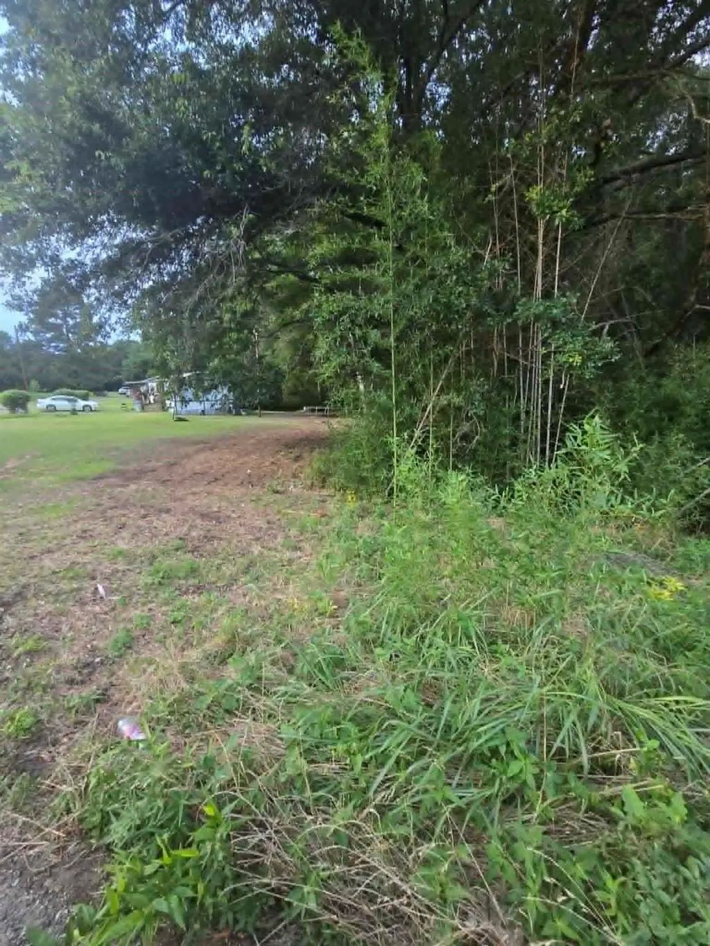 Tbd W Hwy 49, Daingerfield