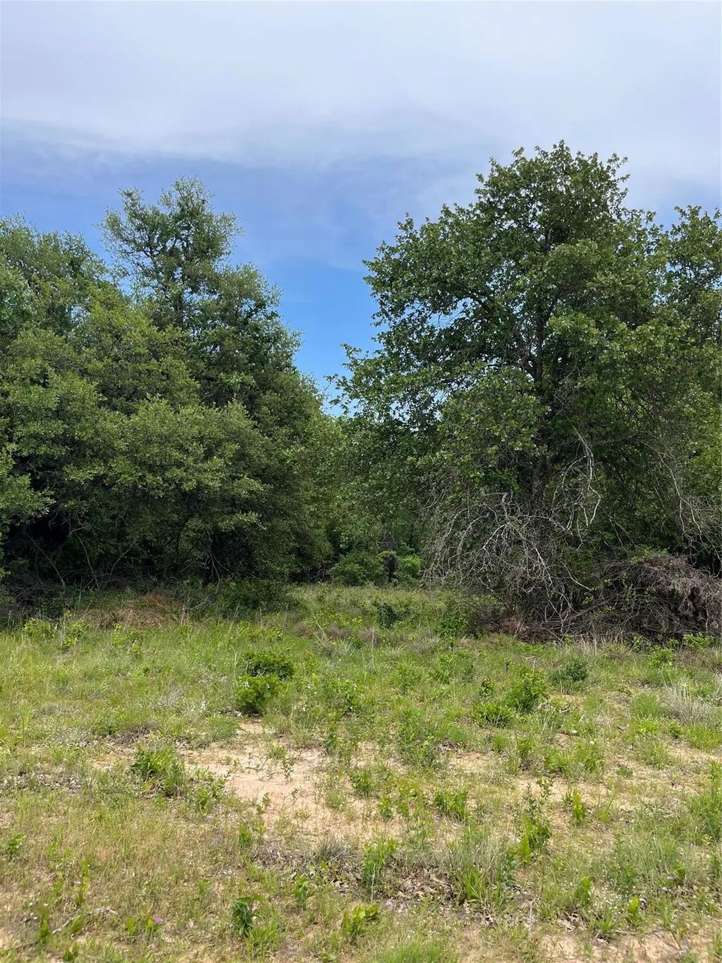 Lot 96 Kilkenny Rd, Poolville