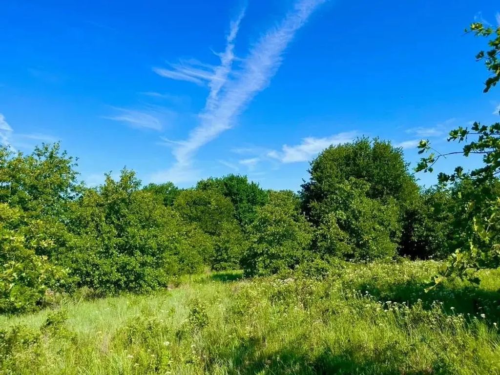 Lot 53 Wicklow Court, Poolville