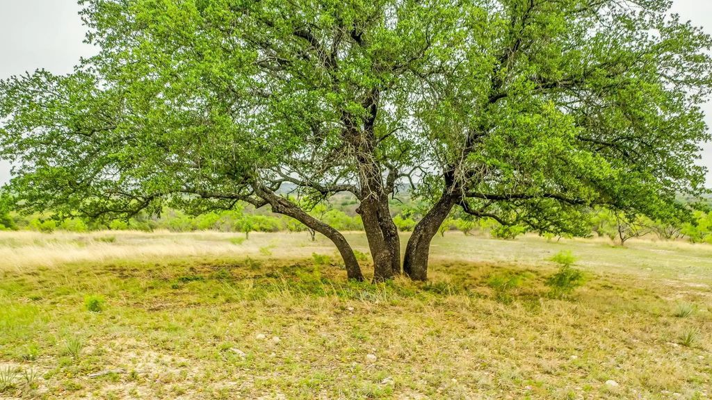 Lot 3 County Road 322, Blanket