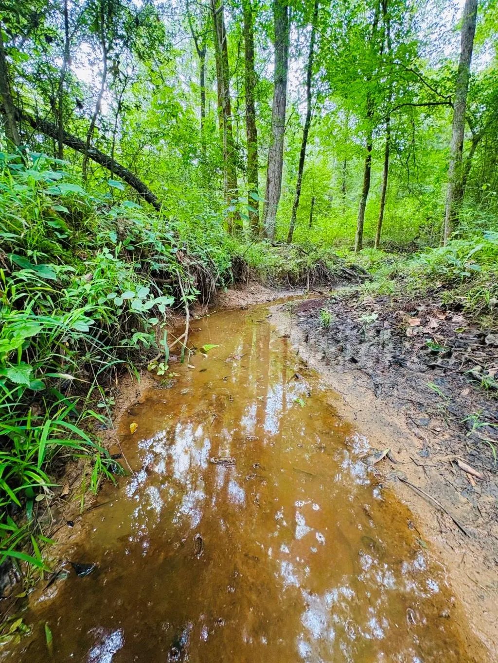 4246 County Road 4789, Timpson