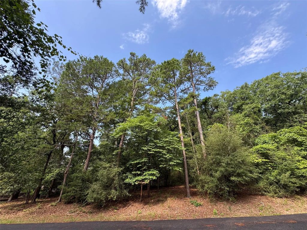 165 Whipporwill Lane, Holly Lake Ranch