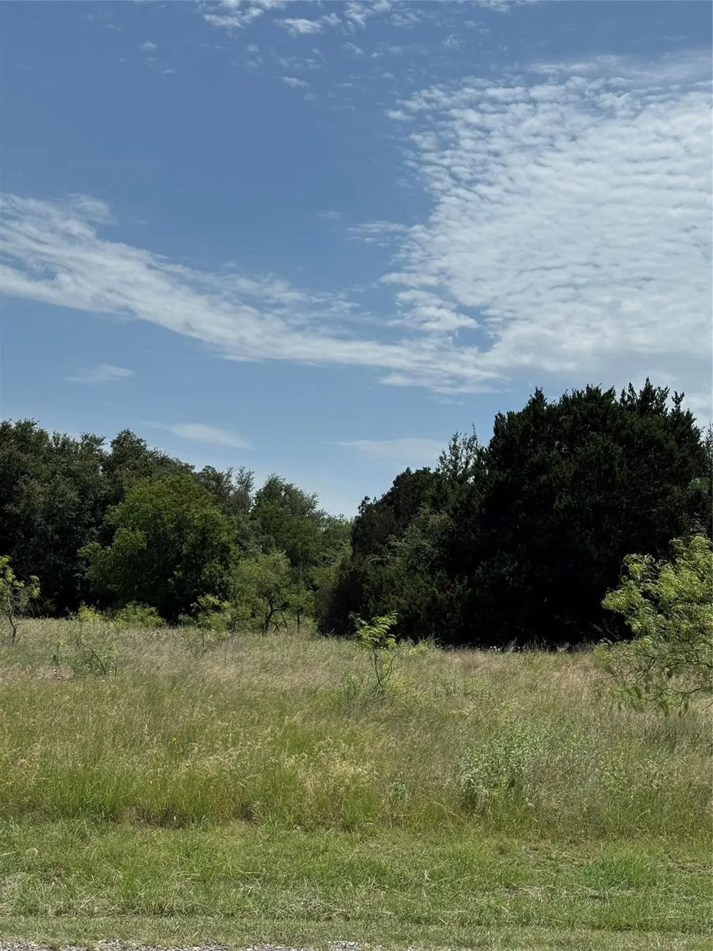 1116 Lakeside Trail, Whitney
