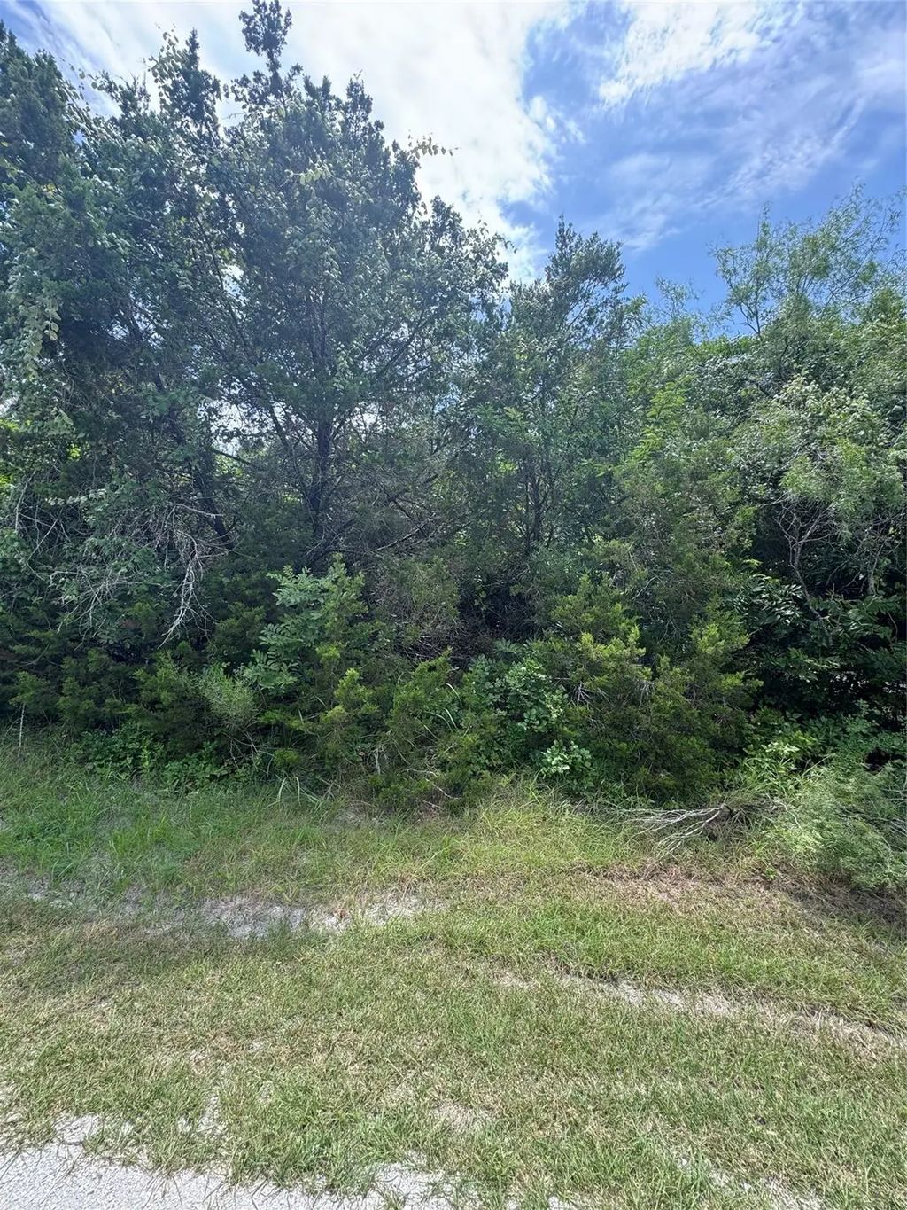 12208 Rolling Oaks Drive, Whitney