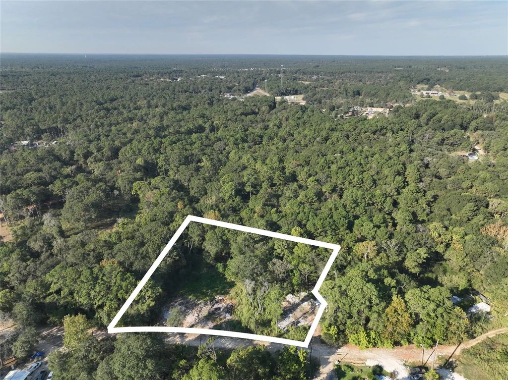 Tbd Whispering Pines Lane, Plantersville