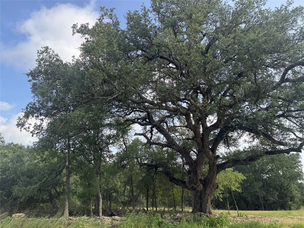 318 Whitetail Drive, Waco