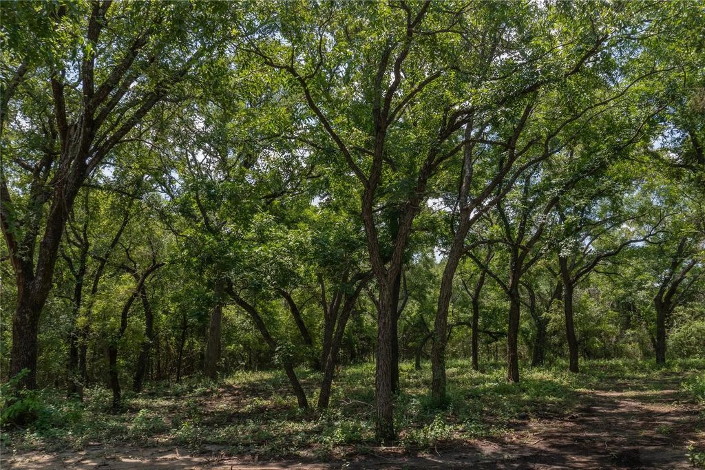 1030 Shiloh Vista Lane, Tolar