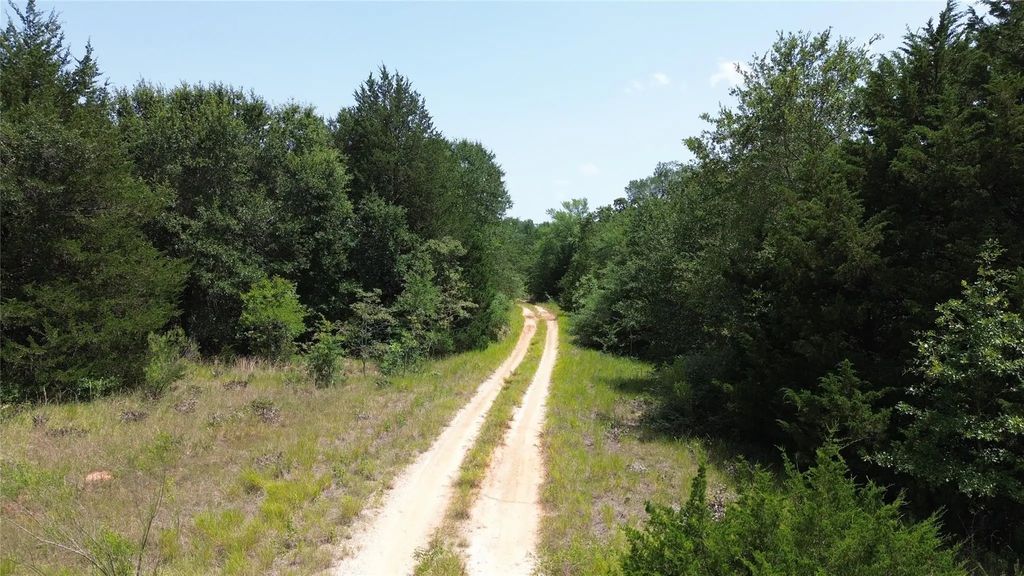 Tbd Cr 660, Teague