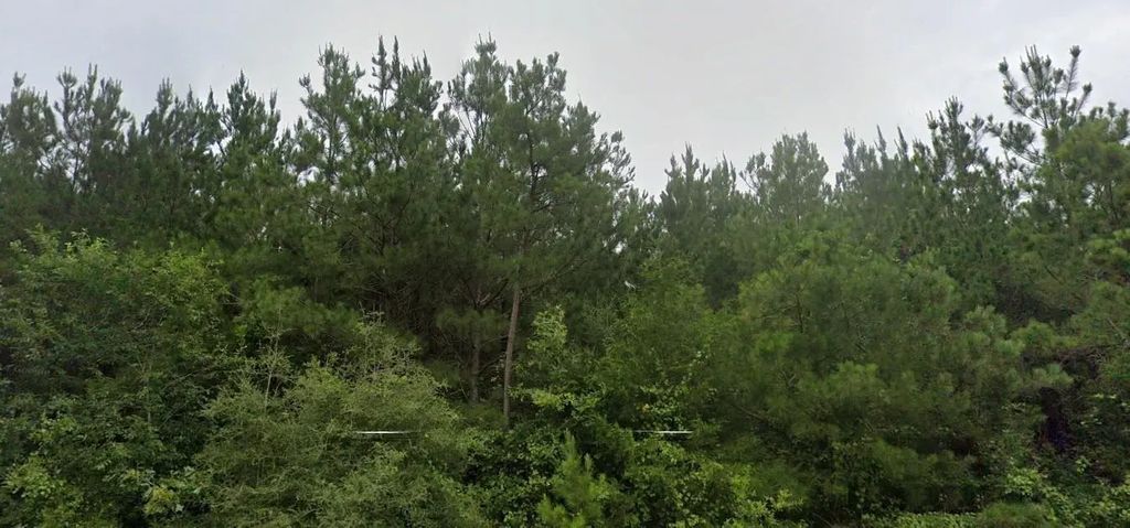 Bullard Road, Ward