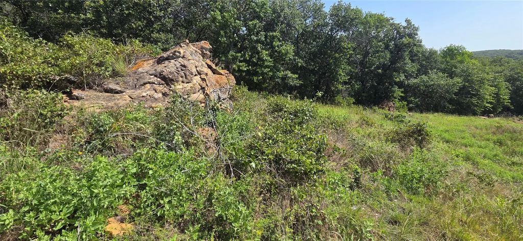 Tbd Nash Rd, Jacksboro