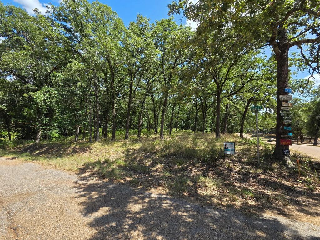 Hickory Street Lot 88, Mabank